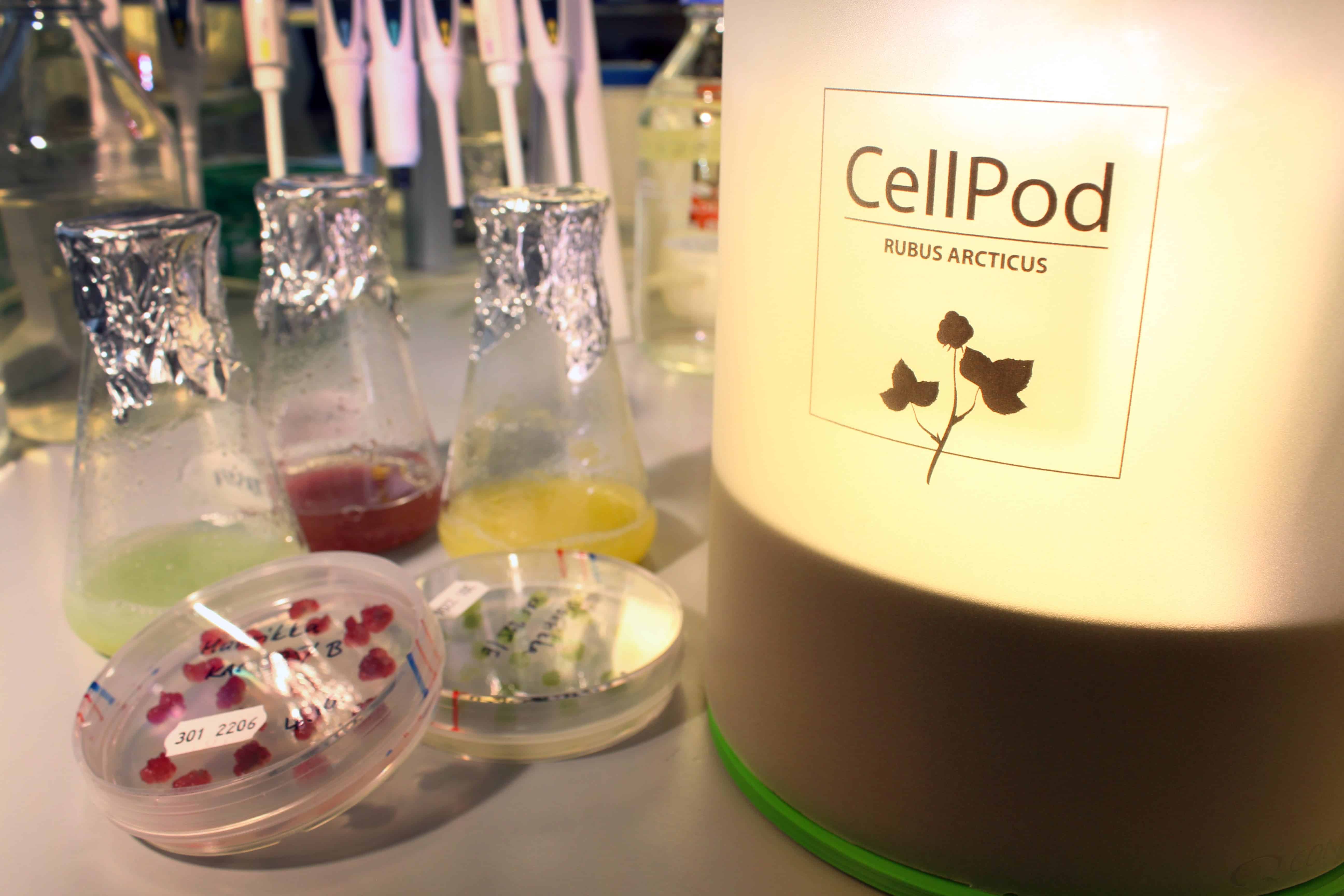 The CellPod and seed cultures.
Image credits VTT.