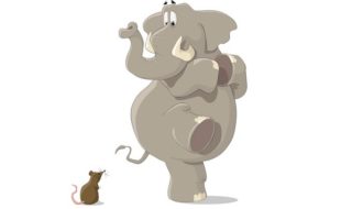 elephant and mouse