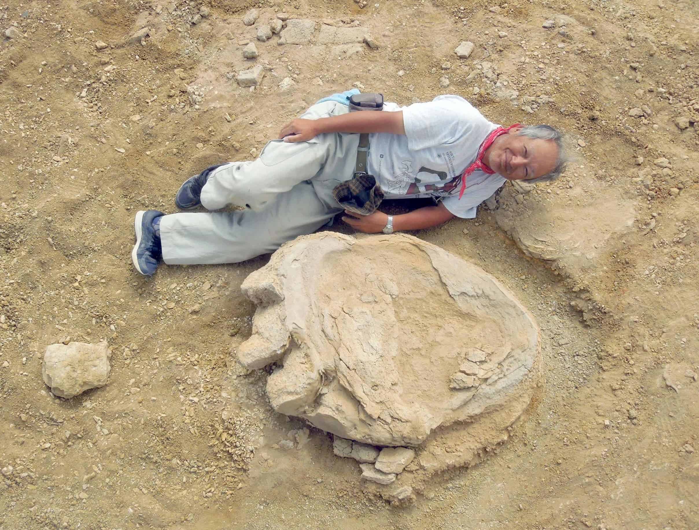 Professor Shinobu Ishigaki of the Okayama University of Science lies next to the footprint in the Gobi desert.
Image credits Japan Times.