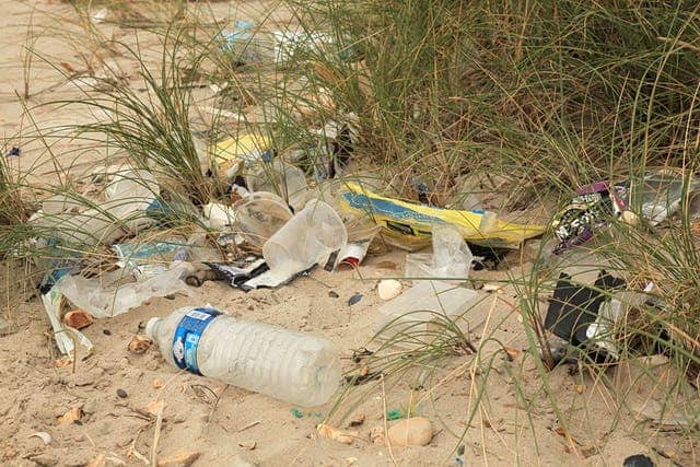 Plastic beach litter, Hengistbury Head. Image credits: Rob Noble