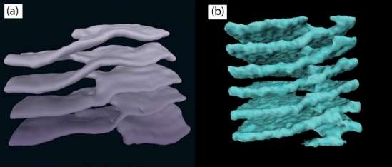 Similar shapes — structures consisting of stacked sheets connected by helical ramps — have been found in cell cytoplasm (left) and neutron stars (right). Credit: University of California - Santa Barbara