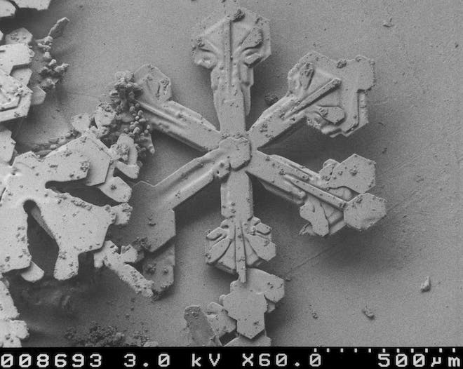 A snowflake as seen by an EM. 