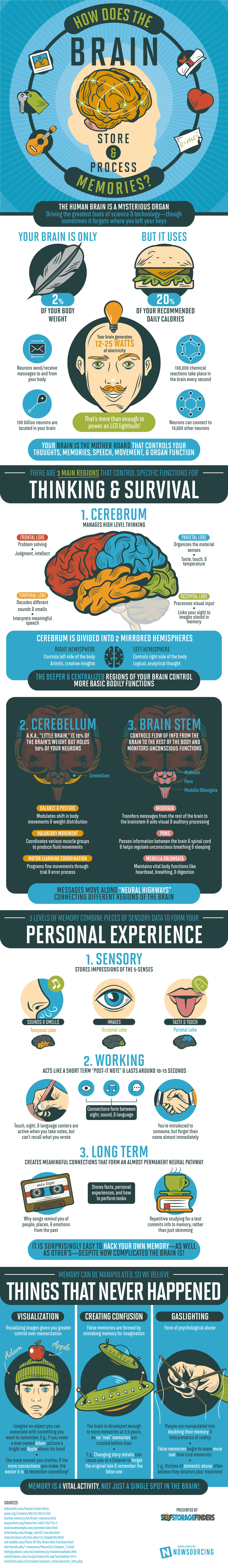 brain-infographic