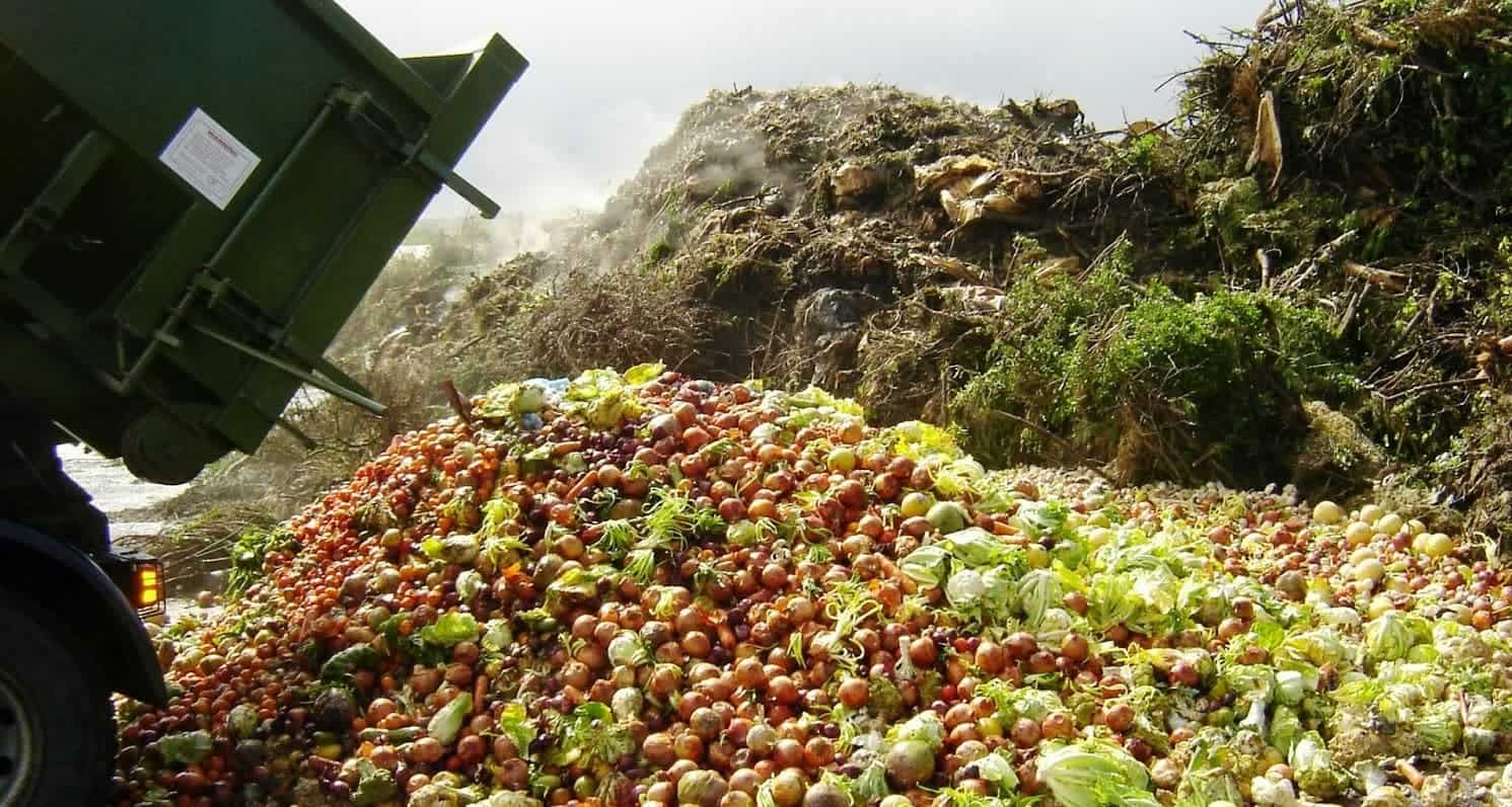 A fifth of the world's food is lost to waste and over-eating