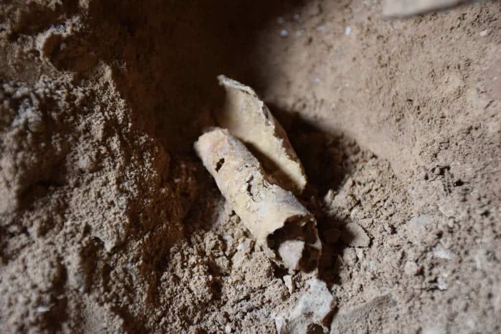 Remnant of scroll found in the new cave near Qumran after it was removed from its jar. The scroll was devoid of text, however. Credit: Casey L. Olson and Oren Gutfeld, Hebrew University.