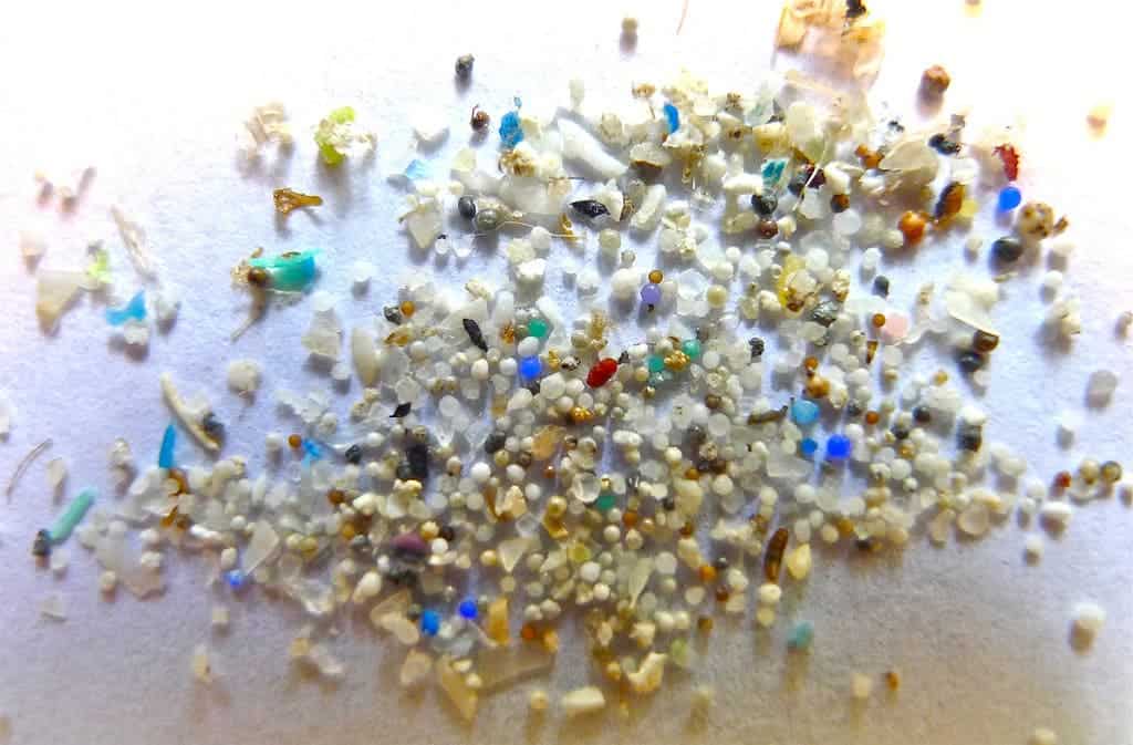 Microbeads are in a swarm of everyday products, and they're having a massive effect on the environment. Image via Oregon State University.