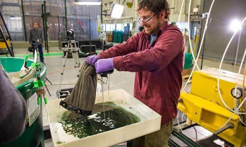 Ed Barry, Argonne researcher, wrings an Oleo Sponge after a test #sciencecanbemessy. Credit: Mark Lopez/Argonne National Laboratory
