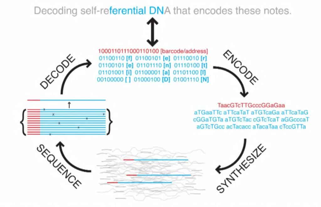 Overview of the data encoding and decoding process in DNA. Credit: Harvard Uni.