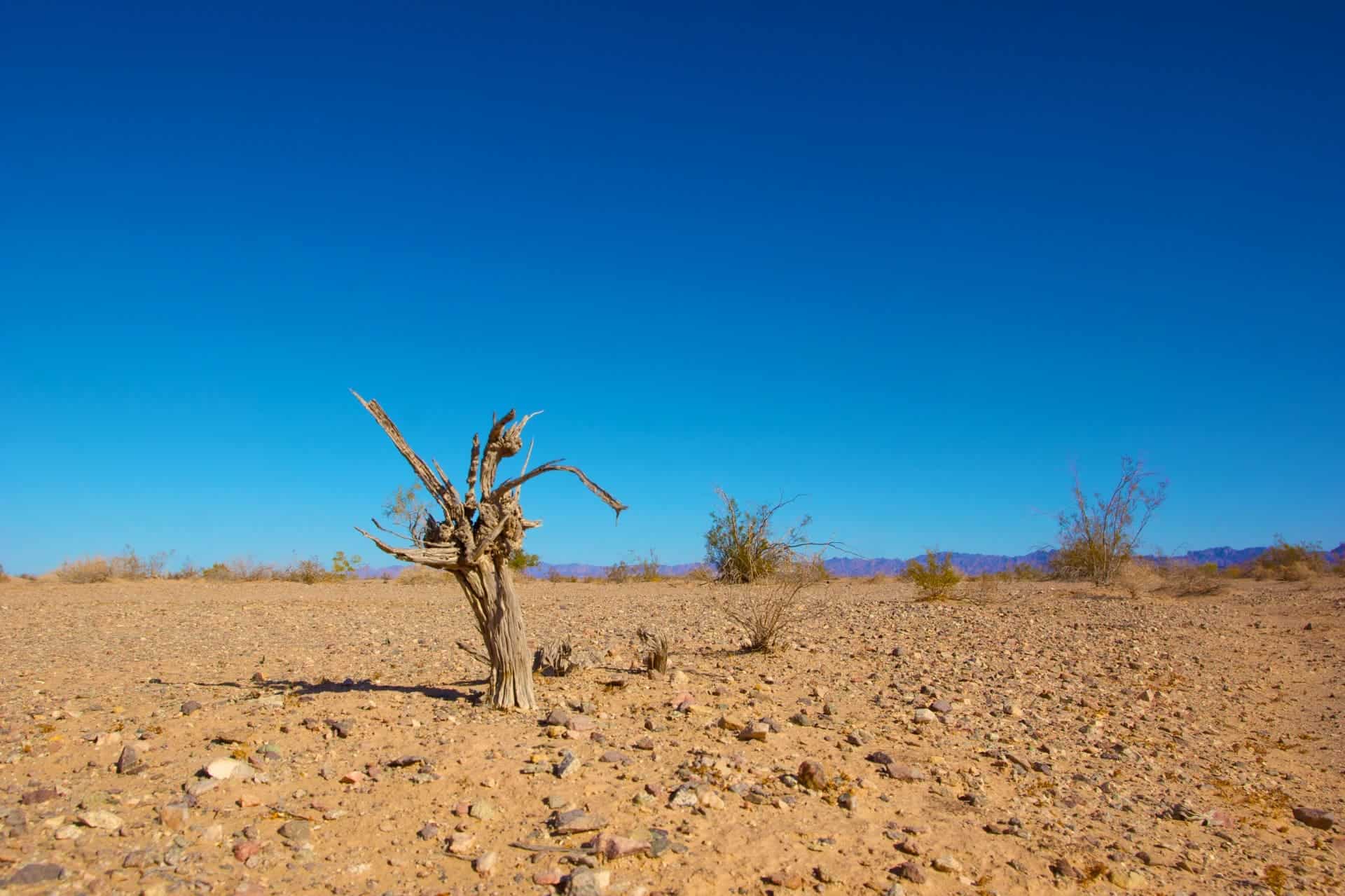 Climate change has been associated with droughts and water scarcity. Image in Public Domain.