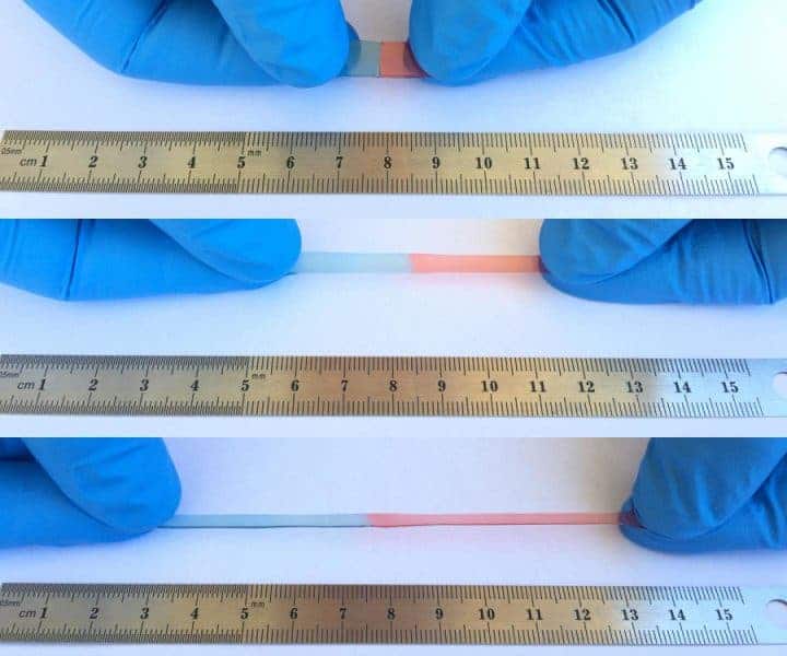 A new material not only heals itself, but it also stretches up to 50 times its usual size. Credit: Wang lab