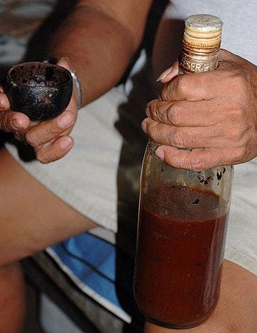 What Peruvian ayahuasca looks like. Credit: Wikimedia Commons.
