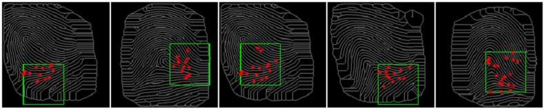 fingerprint sensor hack