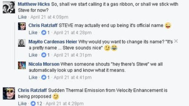 Users on the Facebook group debated what the new phenomenon should be called. They stuck with 'Steve'. Credit: Facebook Screenshot.