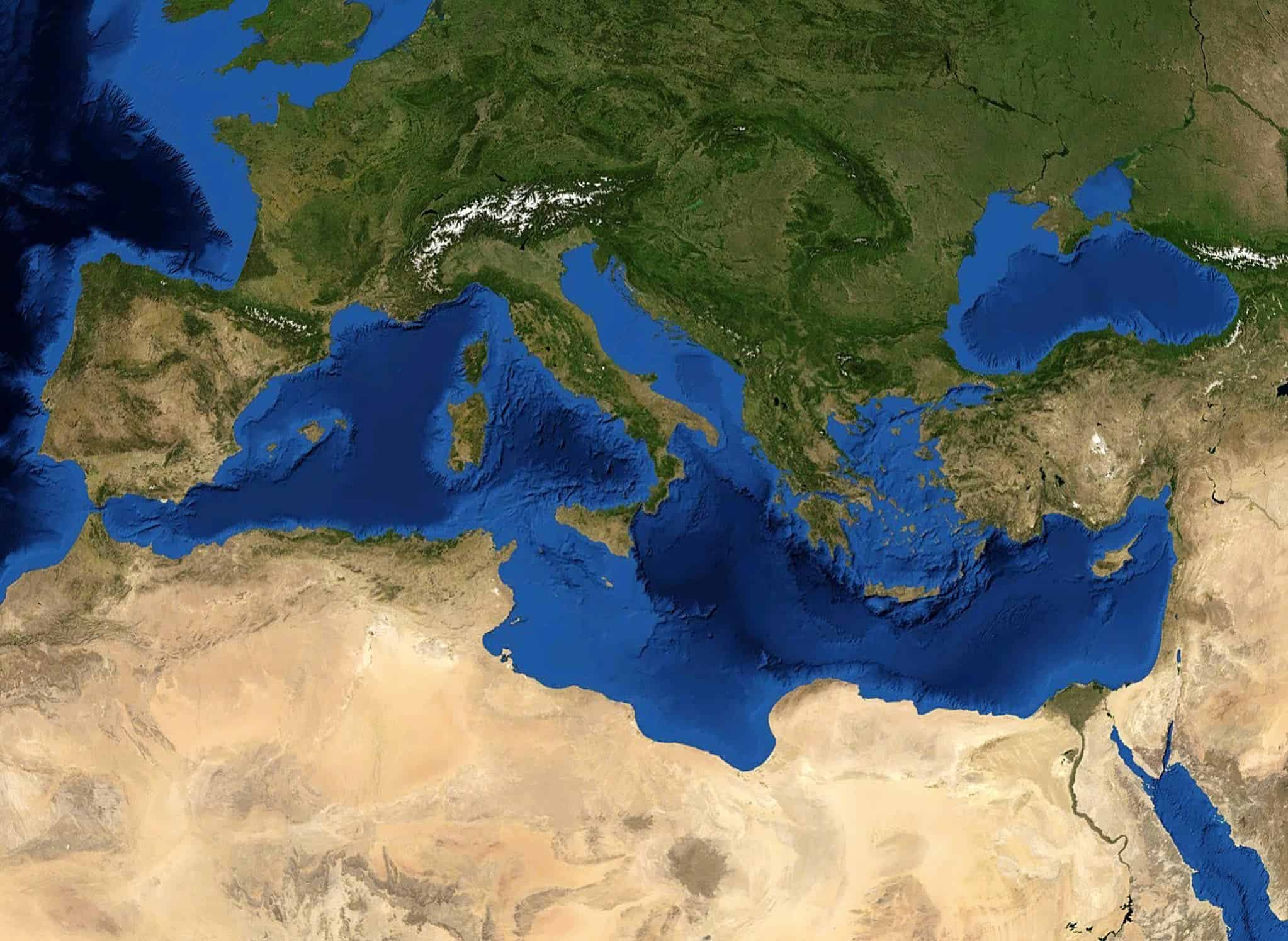 the-mediterranean-fish-stocks-have-almost-completely-collapsed