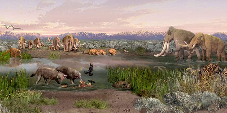 Extra moisture caused most of the world's large animals to go extinct  15,000 years ago