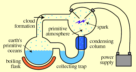 Schematic of the Miller-Urey experiment. 