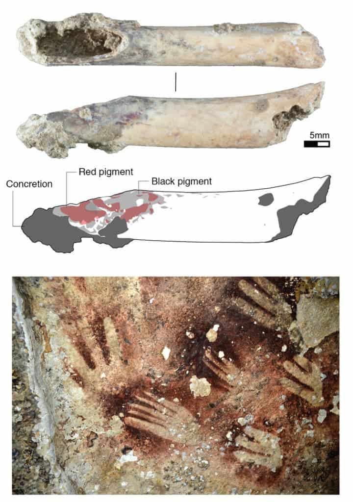 Hollow bone tube (top) with red and black pigments, made from the long bone of a bear cuscus, may have been used as an ‘air-brush’ to create human hand stencils on rock surfaces (bottom) (Top) Michelle Langley (bottom) Yinika Perston., 