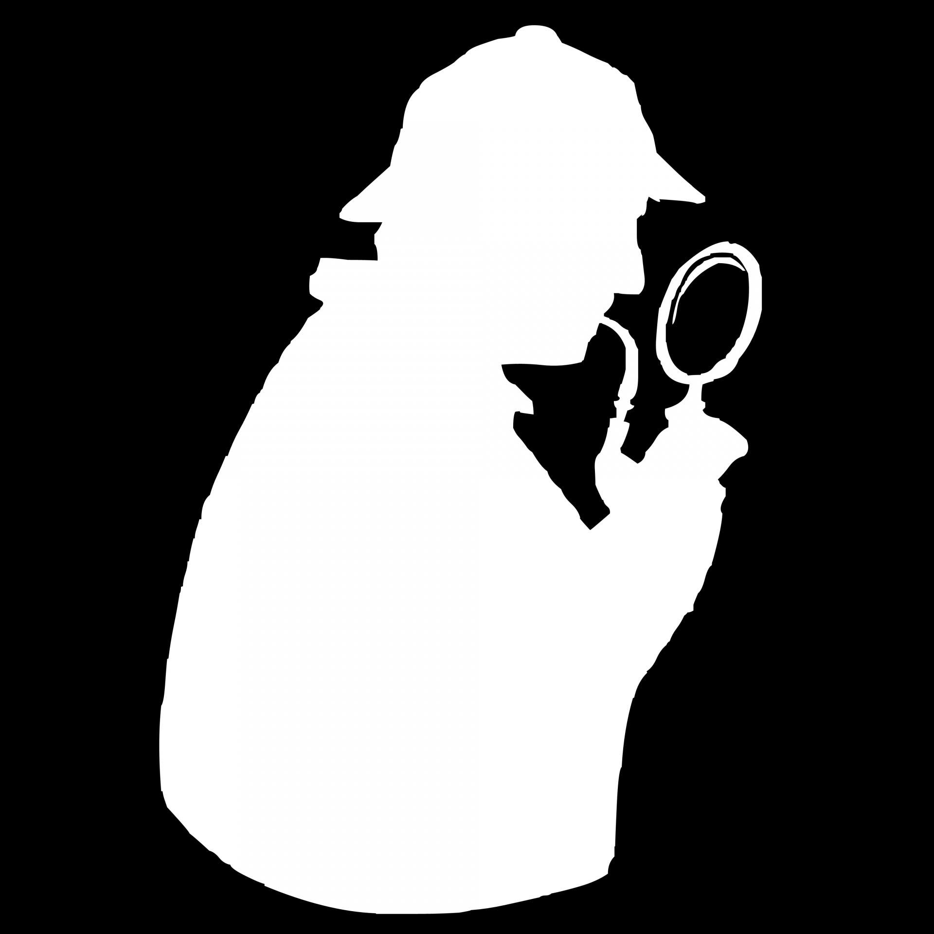 There's a new SHERLOCK in town. Image credits: Public Domain Pictures.