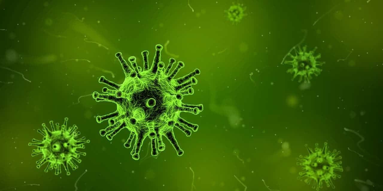 Illustration of influenza virus. Credit: Pixabay.