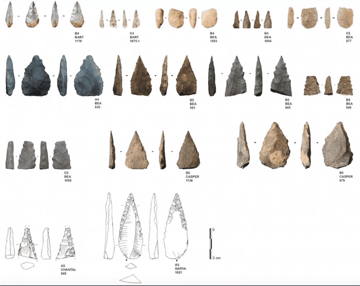 A selection of 14 Middle Stone Age flakes found in a cave in South Africa. These come from a batch of 25; imaged here are only the ones with serrated edges. Credit: PLOS ONE.