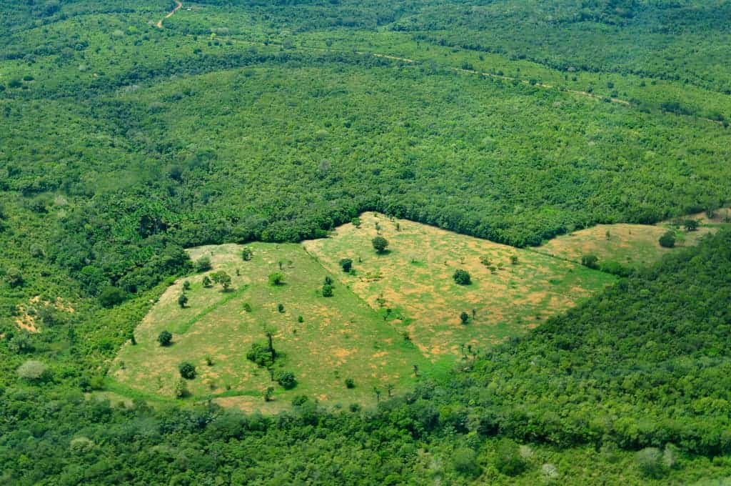 Aerial view of the Amazon Rainforest, near Manaus, the capital of the Brazilian state of Amazonas. Image credits: Neil Palmer.