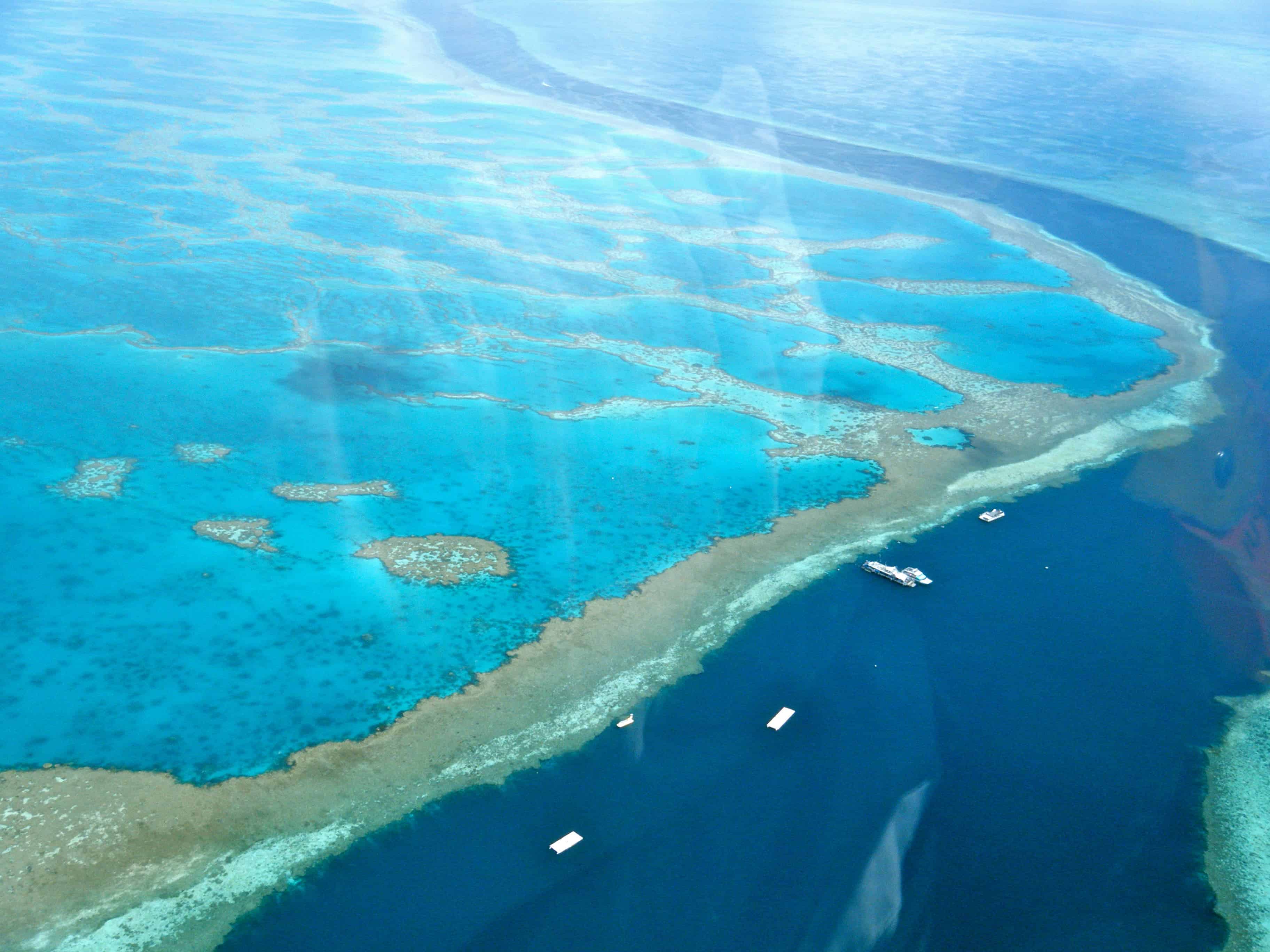disadvantages of tourism in the great barrier reef