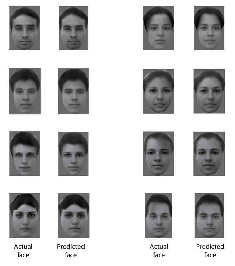 The left column shows the actual face shown to the monkeys, the right column shows the image reconstructed from monkey brain activity, the predicted face). Image credits: Doris Tsao