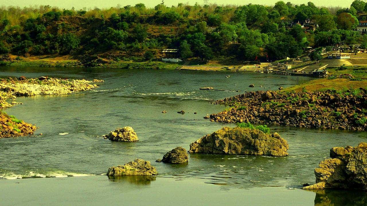 Most of the trees were planted on the Narmada river banks, which is often revered to as  