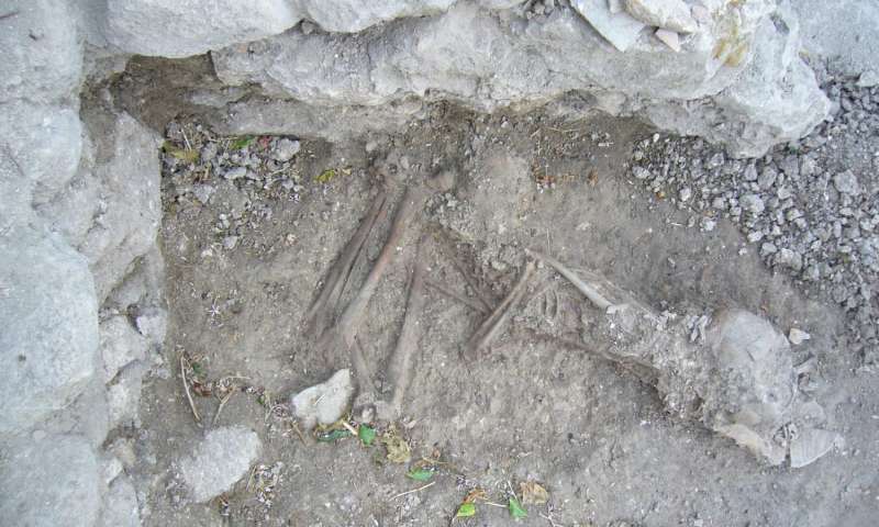 The burial of a single sub adult individual sequenced in the study. Credit: Dr. Claude Doumet-Serhal.