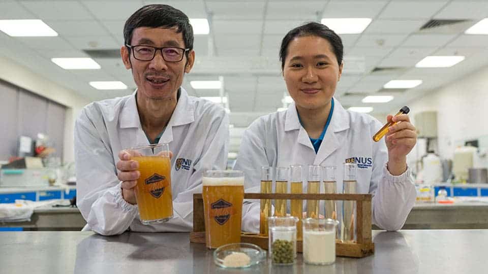 Cheers! Associate Professor Liu Shao Quan (left) and Miss Chan Mei Zhi Alcine (right), showcasing their newly-developed probiotic beer. Image credits: NUS.