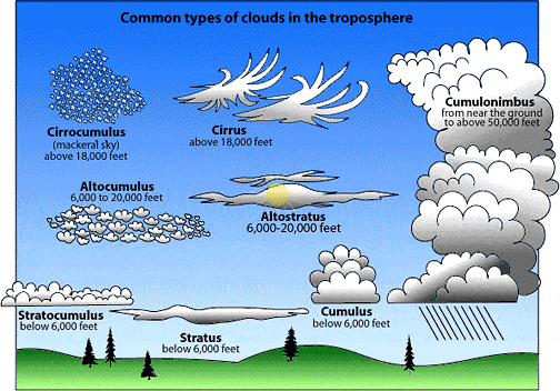 different types of clouds by altitude