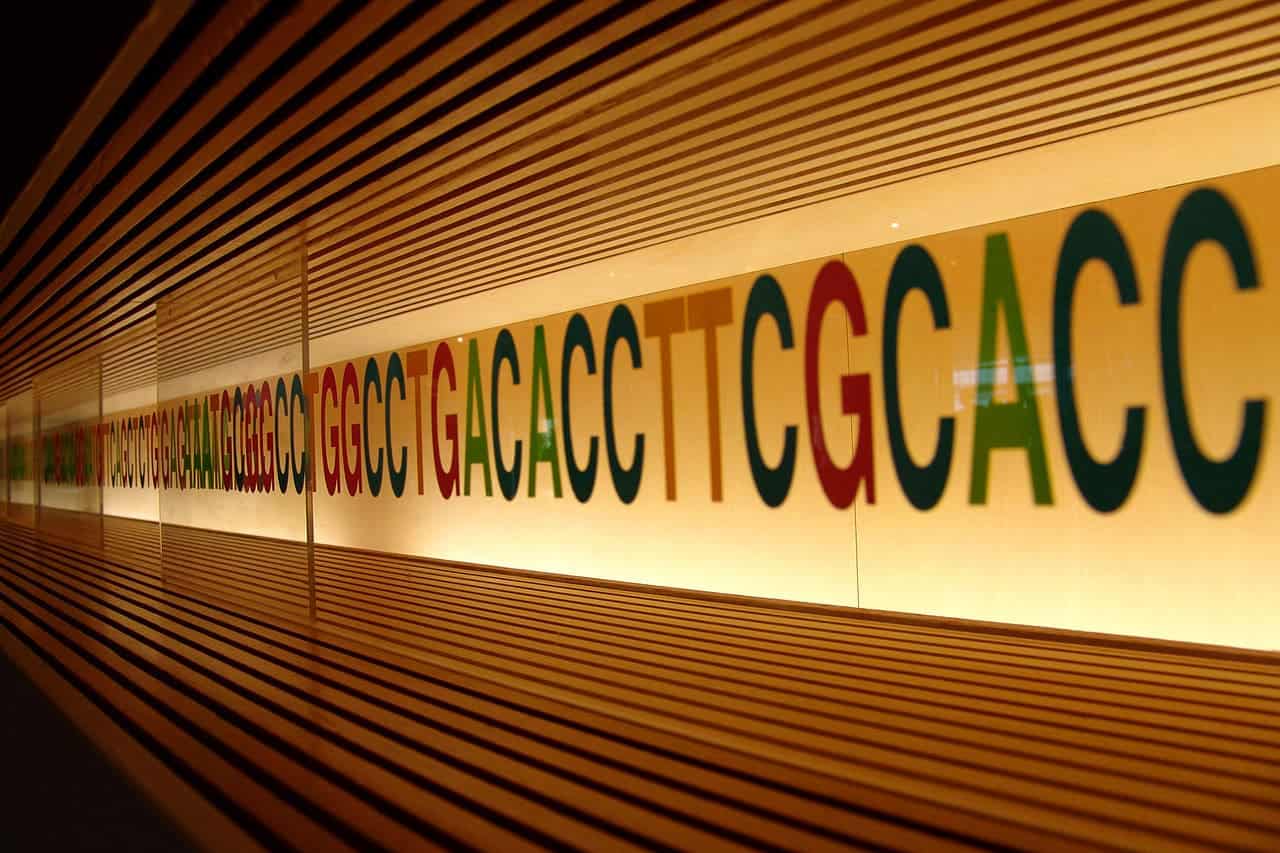 Genetic sequencing could pave the way for a new age of cancer detection. Image via Wikipedia.