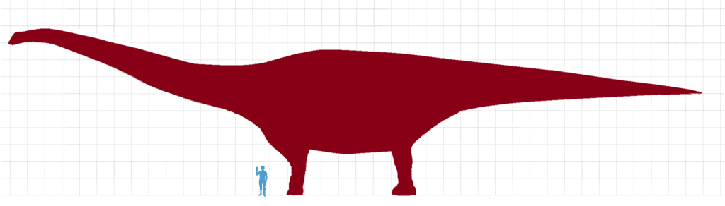 Size comparison to a human.