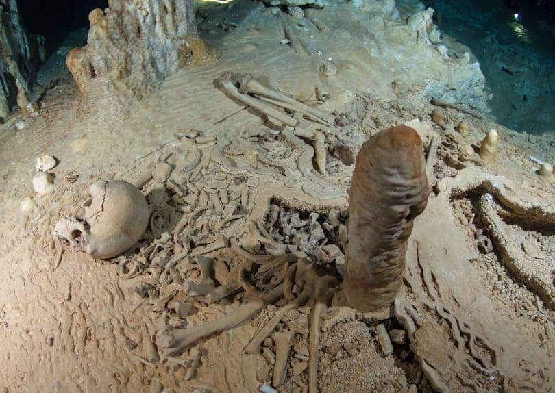 Prehistoric human skeleton in the Chan Hol Cave near Tulúm on the Yucatán peninsula prior to looting by unknown cave divers. Picture: Tom Poole, Liquid Jungle Lab.