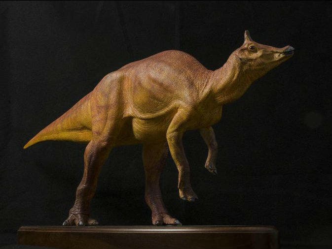 A rendering of how scientists think the Augustynolophus morrisi dinosaur looked. Image credits: Richard H. Bloom / Twitter.