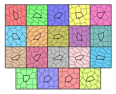 The 15 types of pentagonal tiles and their 4 specific types. Credits: Michael Rao, Laboratoire d'informatique du parallélisme (CNRS/Inria/ENS Lyon/Université Claude Bernard Lyon 1)