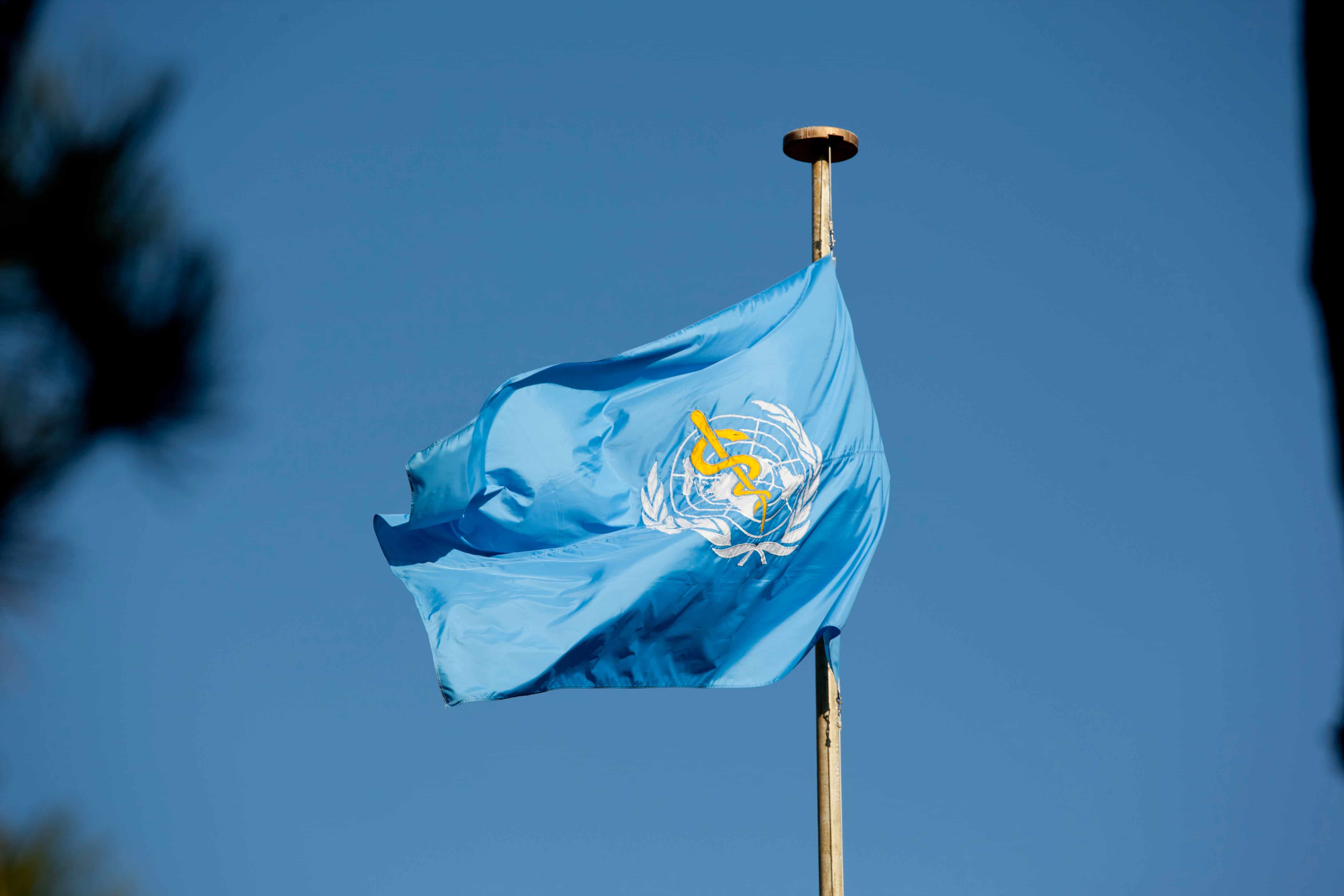 World Health Organization Flag.