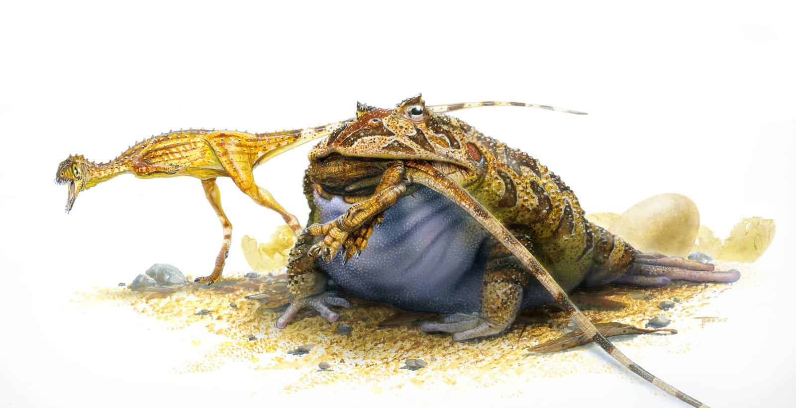Beelzebufo ampinga munching on Cretaceous lunch. Credit: Wikimedia Commons.