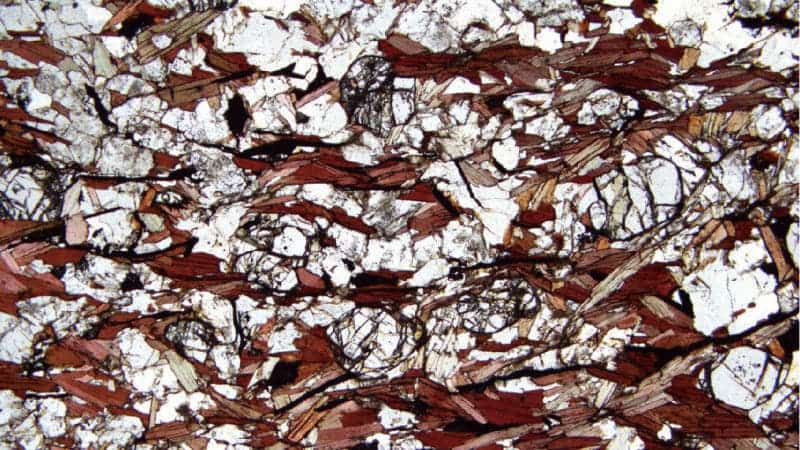 Traces of graphite in ancient Canadian rocks were produced by microorganisms 3.95 billion years ago, according to new research. Credits: Tsuyoshi Komiya, University of Tokyo.