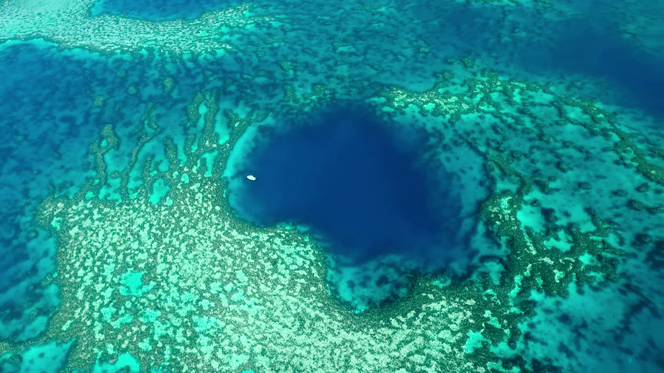 The blue hole. Image credits: Johnny Gaskell/Instagram.