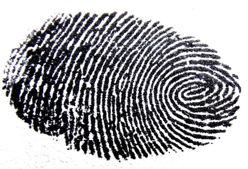 Picture of fingerprint