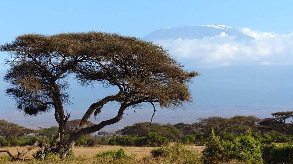 Mount Kilimanjaro is one of the vulnerable nature World Heritages sites listed by the IUCN since its glaciers are shrinking in the face of global warming. Credit: Pixabay.