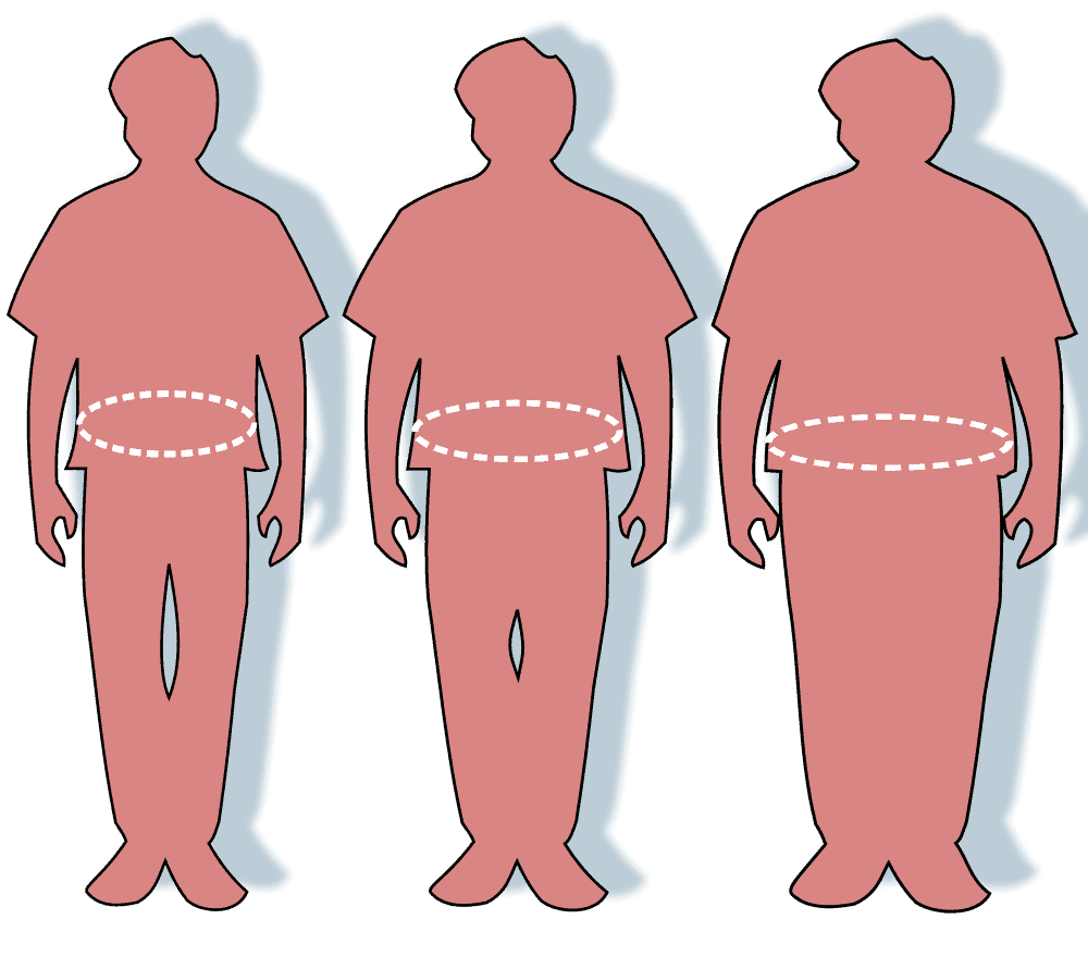 From left to right, a healthy, overweight, and obese man. Image credits: Report of the Dietary Guidelines Advisory Committee on the Dietary Guidelines for Americans.