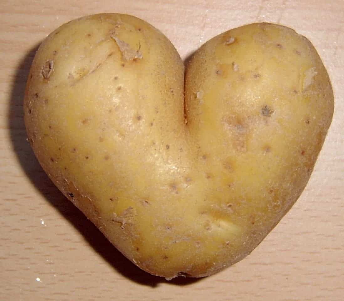 The potato: a peaceful food. Image credits: Lumbar.