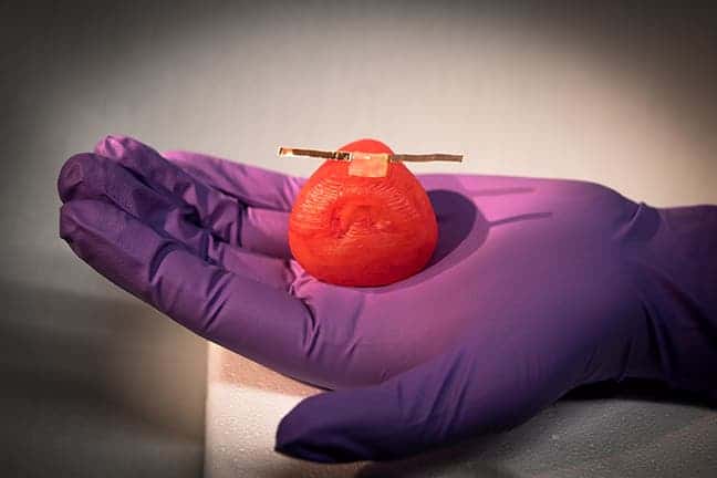 Researchers can attach sensors to the organ models to give surgeons real-time feedback on how much force they can use during surgery without damaging the tissue. Credits: McAlpine Research Group.