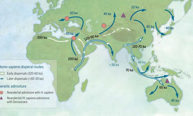 Various migratory pathways associated with modern humans dispersing across Asia during the Late Pleistocene. Credit: Bae et al. 2017. 