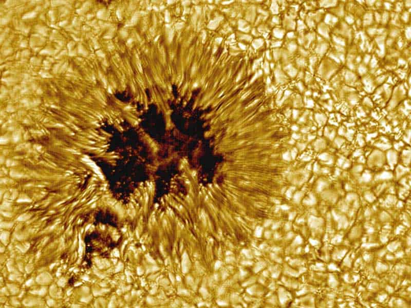 Most sunspots could swallow a planet! Many sunspots, like the ones shown in the image on this page, are as large as Earth. Credit: NASA.