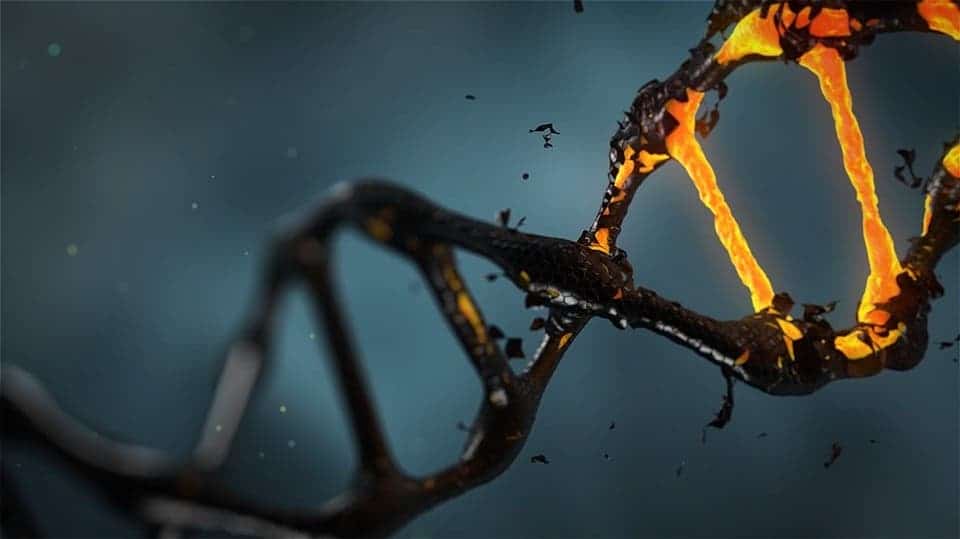 Study reveals how alcohol damages DNA, raises cancer risk