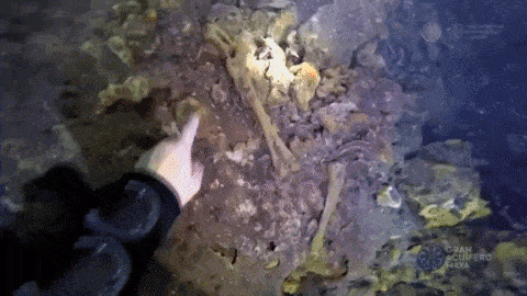underwater-cave-mexico