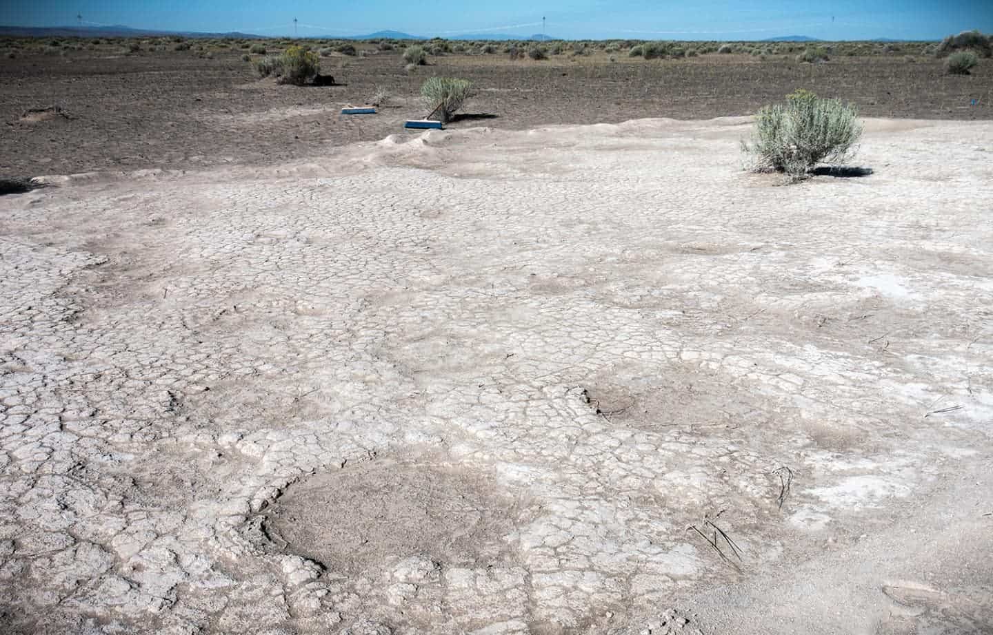 Mammoth footprints dated to 43,000 years ago,which were uncovered by researchers in 2017 in an ancient dry lake bed in Lake County, Oregon. CreditȘ Greg Shine/Bureau of Land Management.